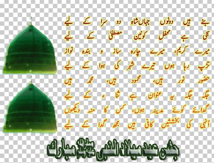 Green Leaf Font PNG, Clipart, Eid Ul Azah, Green, Leaf, Text, Tree Free PNG Download