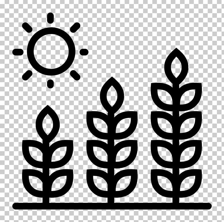 Solar Panels Solar Cell Solar Power Hotel Villa Alessi PNG, Clipart, 2018, Black And White, Circle, Computer Icons, Crop Free PNG Download