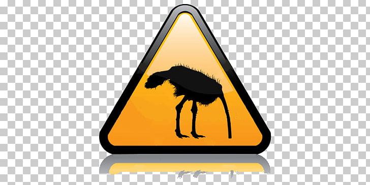 Common Ostrich Stock Photography PNG, Clipart, Beak, Bird, Clip Art, Common Ostrich, Disc Jockey Free PNG Download