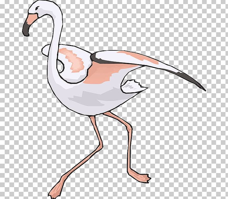 Flamingo Beak PNG, Clipart, Animal Figure, Animals, Animation, Artwork, Beak Free PNG Download