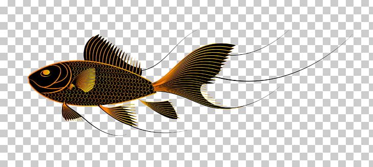 Goldfish PNG, Clipart, Adobe Illustrator, Animals, Aquarium, Black, Black Hair Free PNG Download