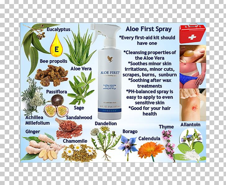 Aloe Vera Forever Living Products Ltd Bee Propolis PNG, Clipart, Aloe Vera, Bee, Chamomilla, Crude Drug, Forever Living Products Free PNG Download