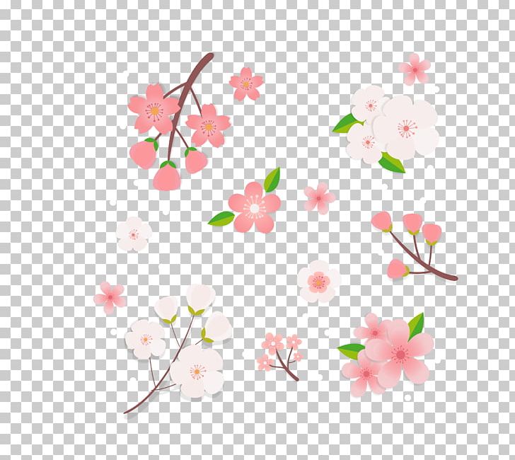 Cherry Blossom Pink PNG, Clipart, Animation, Branch, Cherry, Christmas Decoration, Color Free PNG Download