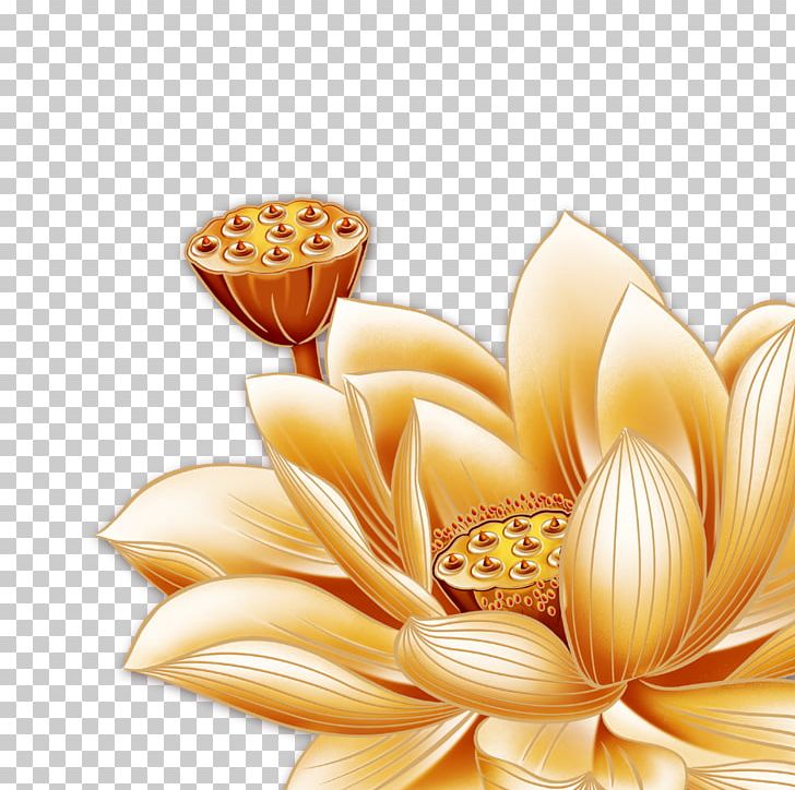 Mooncake Nelumbo Nucifera Cdr PNG, Clipart, Adobe Illustrator, Computer Wallpaper, Dahlia, Daisy Family, Download Free PNG Download