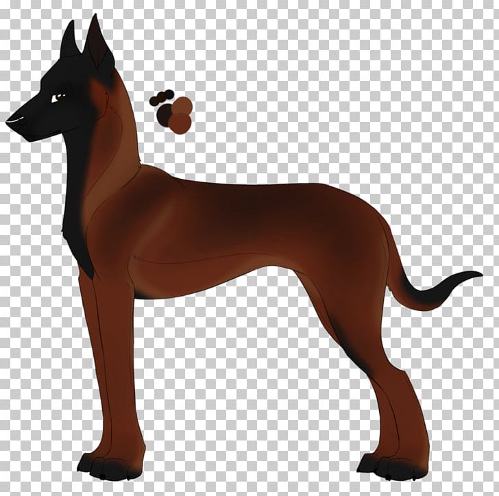 Dog Breed PNG, Clipart, Breed, Carnivoran, Dog, Dog Breed, Dog Breed Group Free PNG Download