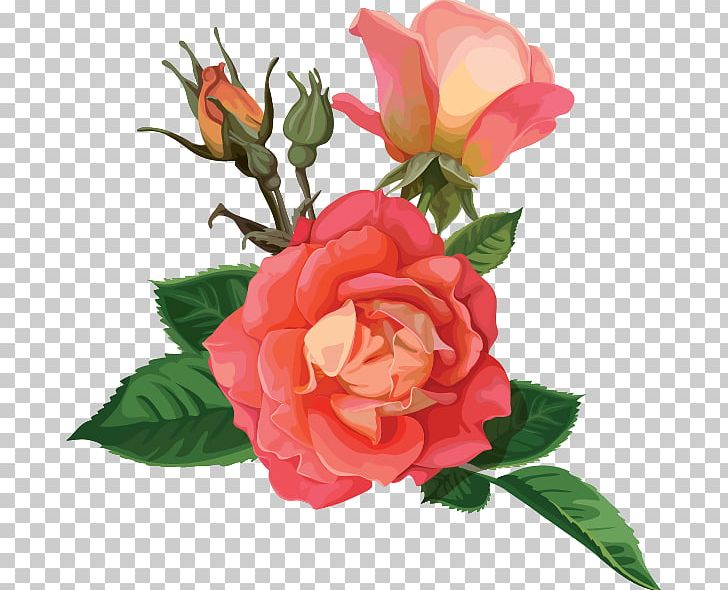 Rose Stock Photography Flower PNG, Clipart, Artificial Flower, China Rose, Color, Cut Flowers, Floral Design Free PNG Download