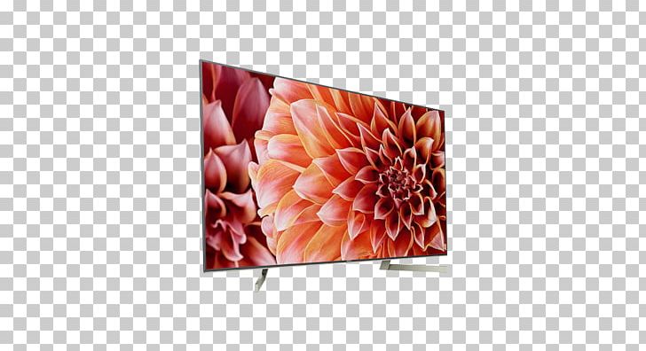Sony XF8505 4K Resolution LED-backlit LCD Ultra-high-definition Television Smart TV PNG, Clipart, 4k Resolution, Flower, Highdefinition Television, Highdynamicrange Imaging, Lcd Television Free PNG Download