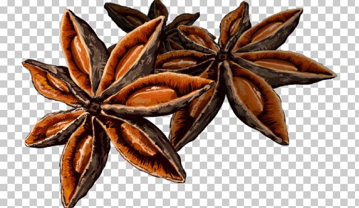 Star Anise Spice PNG, Clipart, Anise, Bay Leaf, Cardamom, Cinnamon, Clip Art Free PNG Download