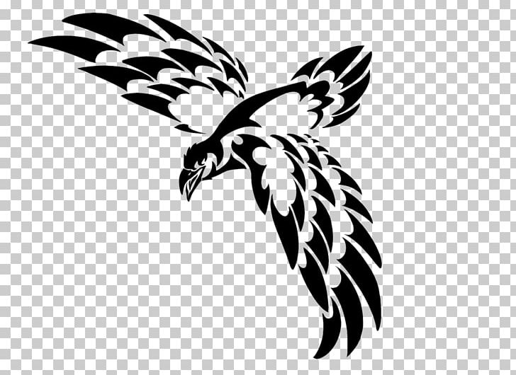 Eagle Drawing PNG, Clipart, Animal, Animals, Art, Beak, Bird Free PNG Download