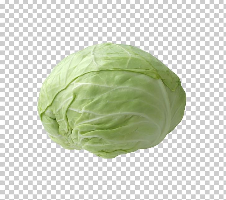 Red Cabbage Leaf Vegetable Chinese Cabbage PNG, Clipart, Bok Choy, Broccoli, Cabbage, Cauliflower, Chinese Cabbage Free PNG Download