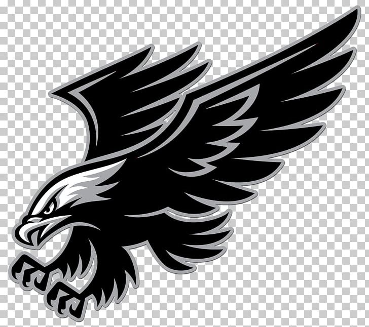 Richland County School District Two Middle School National Secondary School PNG, Clipart, Bald Eagle, Beak, Bird, Bird Of Prey, Black And White Free PNG Download