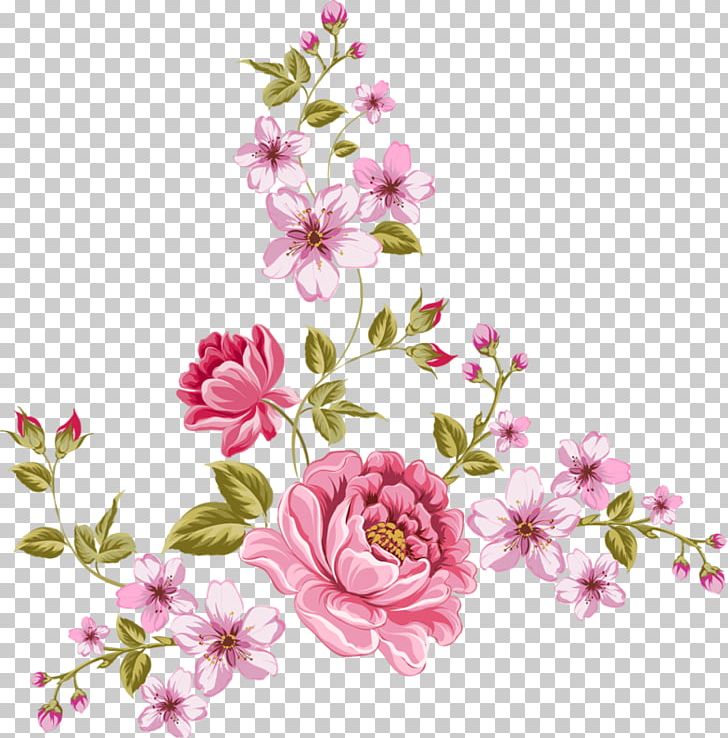 Rose PNG, Clipart, Blossom, Branch, Cherry Blossom, Cut Flowers, Encapsulated Postscript Free PNG Download