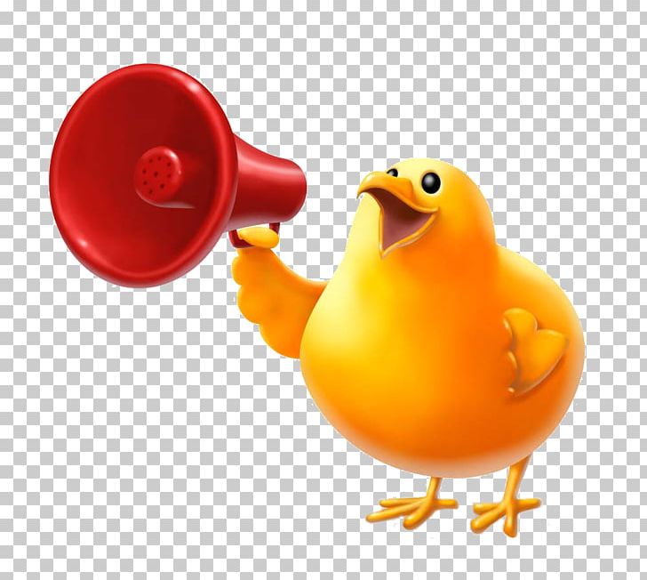Cartoon Graphic Design PNG, Clipart, Animals, Animation, Beak, Bird, Broadcasting Free PNG Download