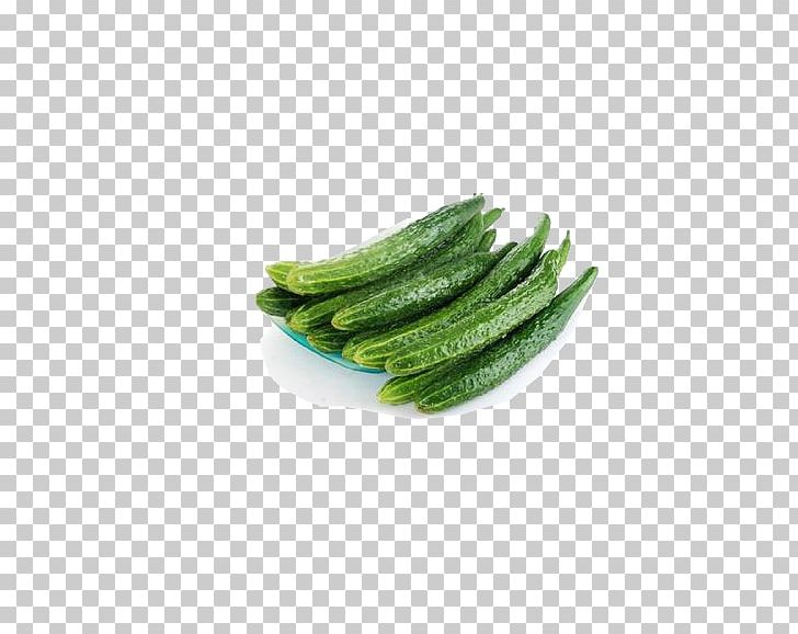 Cucumber Vegetable Melon Sweet And Sour Food PNG, Clipart, Cucumber Cartoon, Cucumber Gourd And Melon Family, Cucumber Juice, Cucumber Mask, Cucumber Slice Free PNG Download
