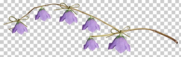 Cut Flowers Rose 0 Ni Ya PNG, Clipart, 2015, 2016, 2018, Body Jewelry, Branch Free PNG Download