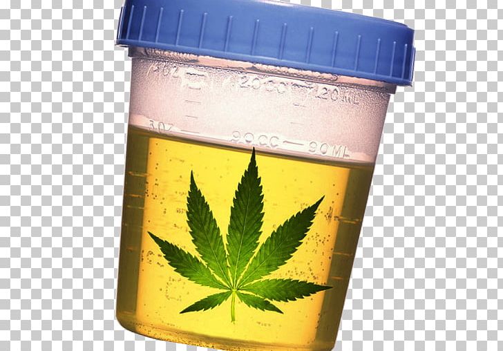 Drug Test Cannabis Clinical Urine Tests PNG, Clipart, Addiction, Alcoholic Drink, Blood, Cannabis, Cannabis Sativa Free PNG Download