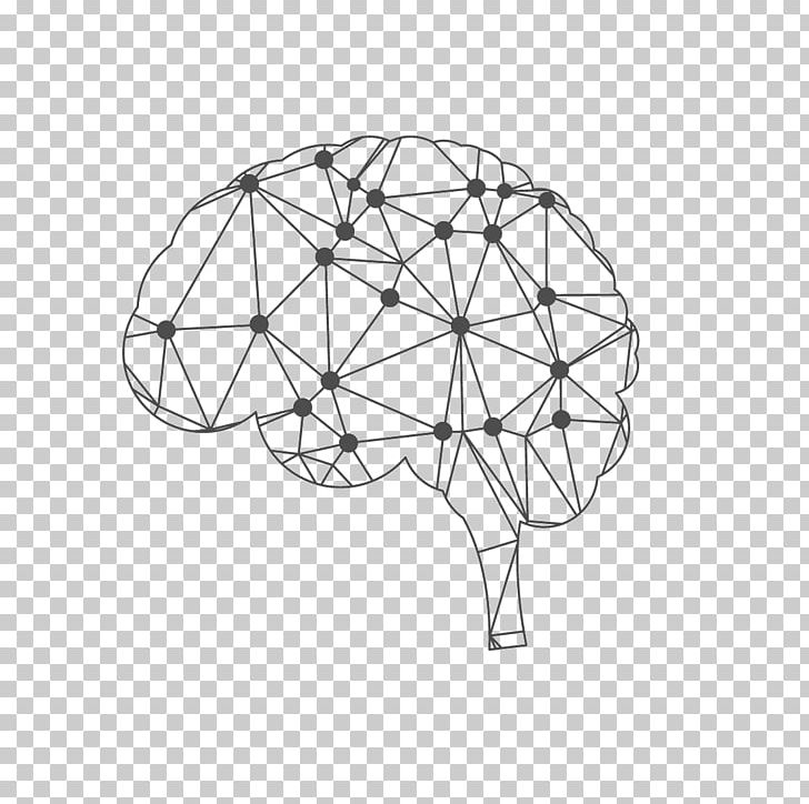 Human Brain Line Skull PNG, Clipart,  Free PNG Download