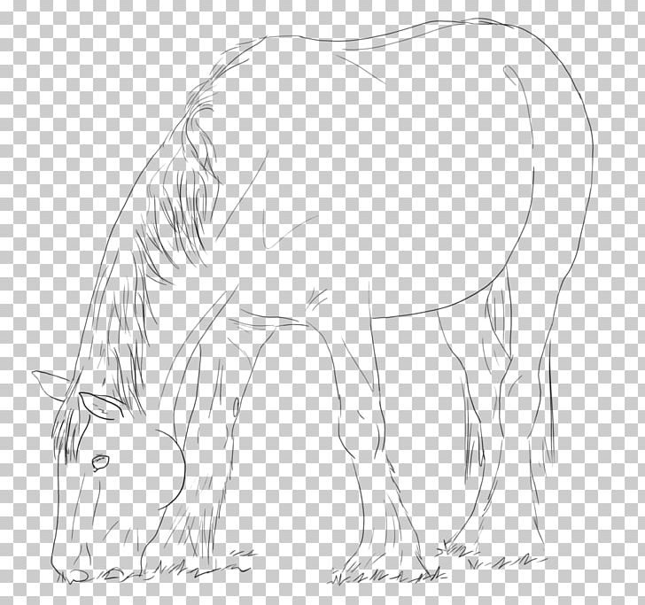 Mustang Snout Drawing Pack Animal Sketch PNG, Clipart, Artwork, Black And White, Drawing, Fauna, Figure Drawing Free PNG Download