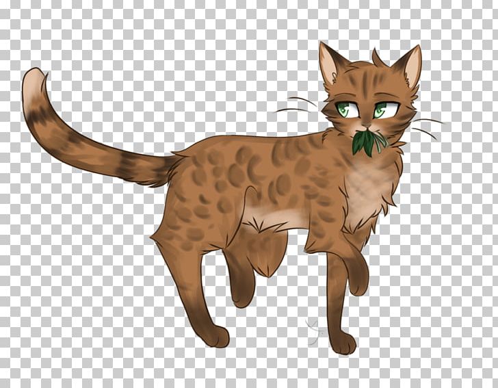 Ocicat California Spangled Whiskers Wildcat Tabby Cat PNG, Clipart, Carnivoran, Cat Like Mammal, Claw, Domestic Shorthaired Cat, Fauna Free PNG Download