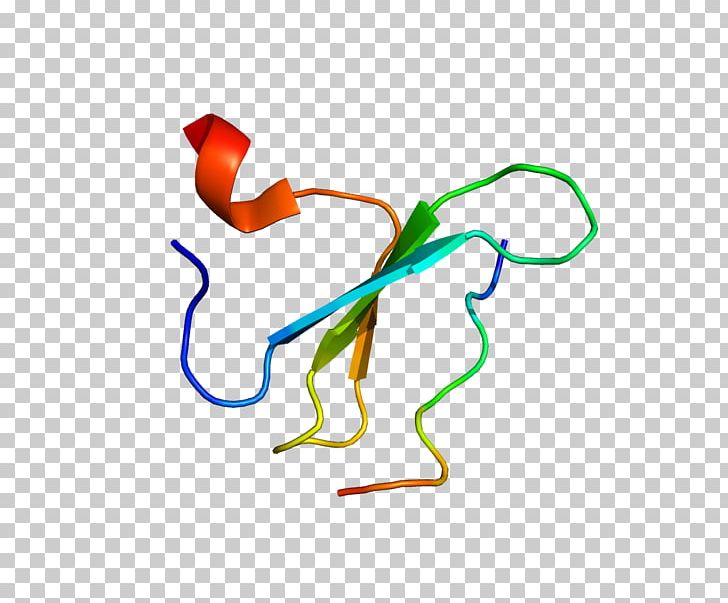 Organism PNG, Clipart, Area, Artwork, Capricorn, Joint, Line Free PNG Download