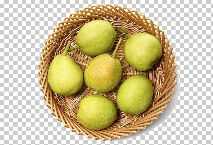 Pear Fruit PNG, Clipart, Adobe Illustrator, Apple Pears, Basket, Coreldraw, Encapsulated Postscript Free PNG Download