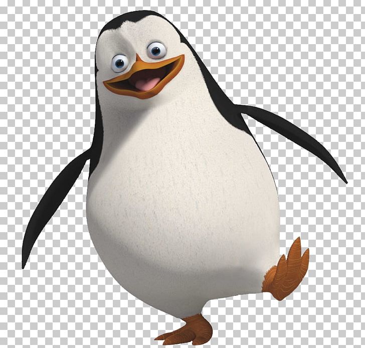 Penguin Madagascar PNG, Clipart, Animals, Beak, Bird, Desktop Wallpaper, Flightless Bird Free PNG Download