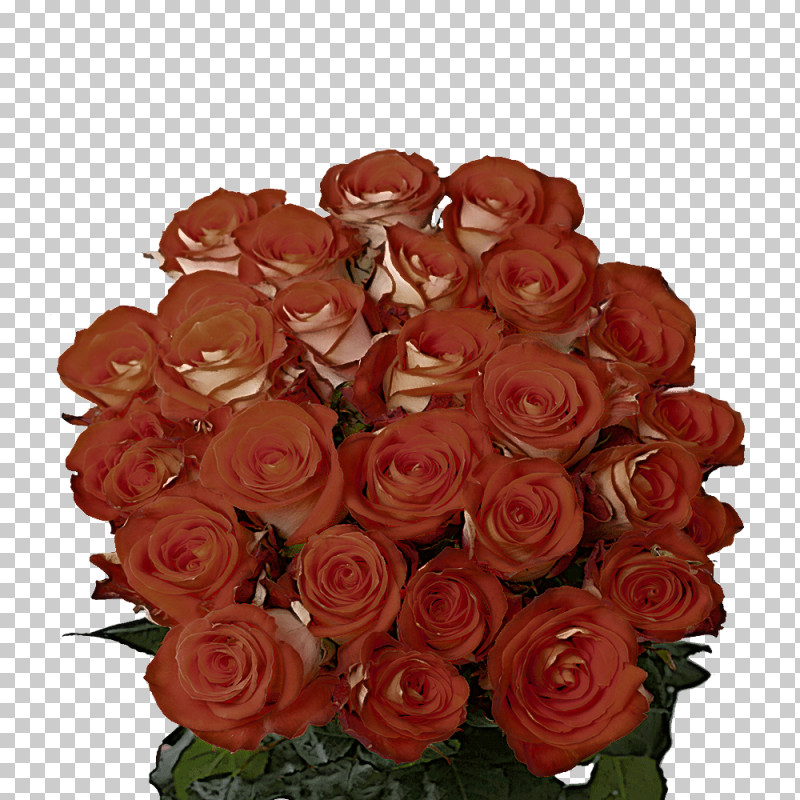 Garden Roses PNG, Clipart, Artificial Flower, Cut Flowers, Floral Design, Floribunda, Flower Free PNG Download