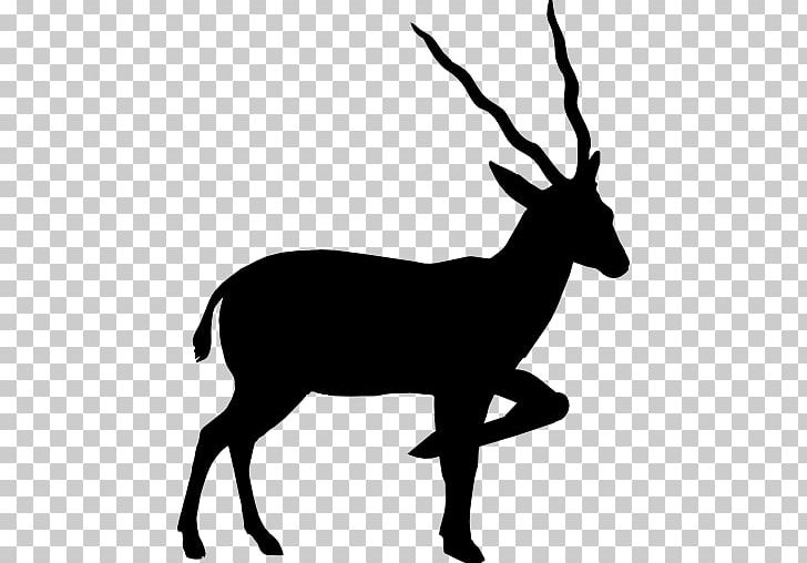 Antelope Pronghorn Silhouette PNG, Clipart, Animal, Animals, Antelope, Antilope, Antler Free PNG Download