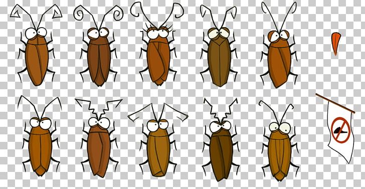 Beetle Invertebrate Pollinator Pest PNG, Clipart, Animal, Animals, Arthropod, Beetle, Insect Free PNG Download