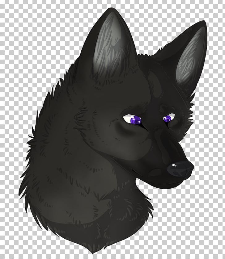 Black Cat Whiskers Schipperke Red Fox PNG, Clipart, Animals, Black Cat, Black Panther, Carnivoran, Cat Free PNG Download