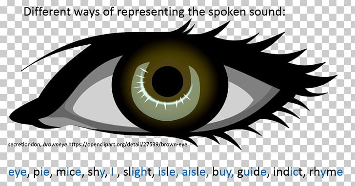 Eye Iris PNG, Clipart,  Free PNG Download