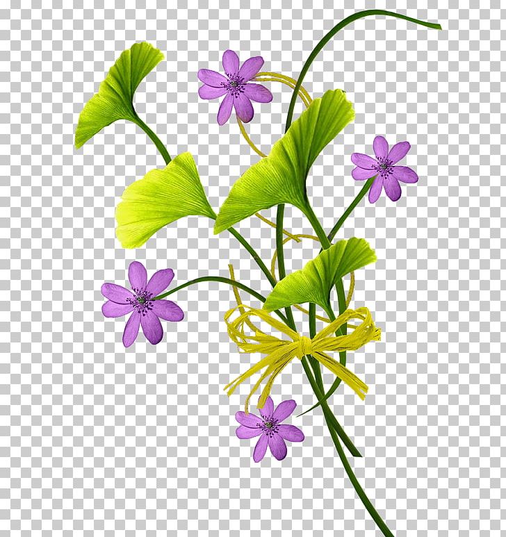 Flower PNG, Clipart, Computer Icons, Cut Flowers, Encapsulated Postscript, Flora, Flower Free PNG Download