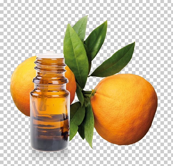 Bitter Orange Marmalade Essential Oil PNG, Clipart, Bitterness, Bitter Orange, Bitters, Blood Orange, Citric Acid Free PNG Download