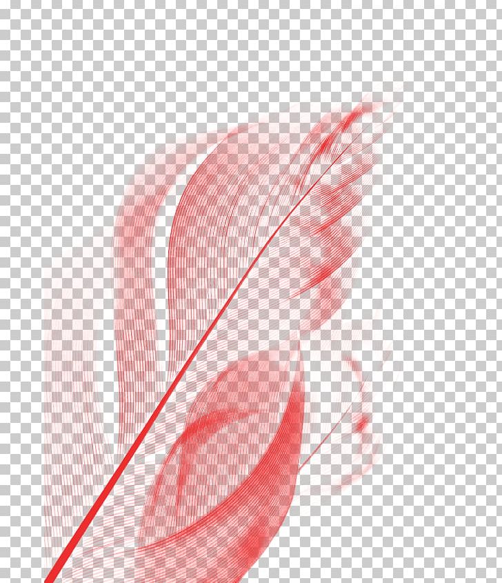 Feather Euclidean Pink Hair PNG, Clipart, Animals, Circle, Closeup, Down, Down Feather Free PNG Download