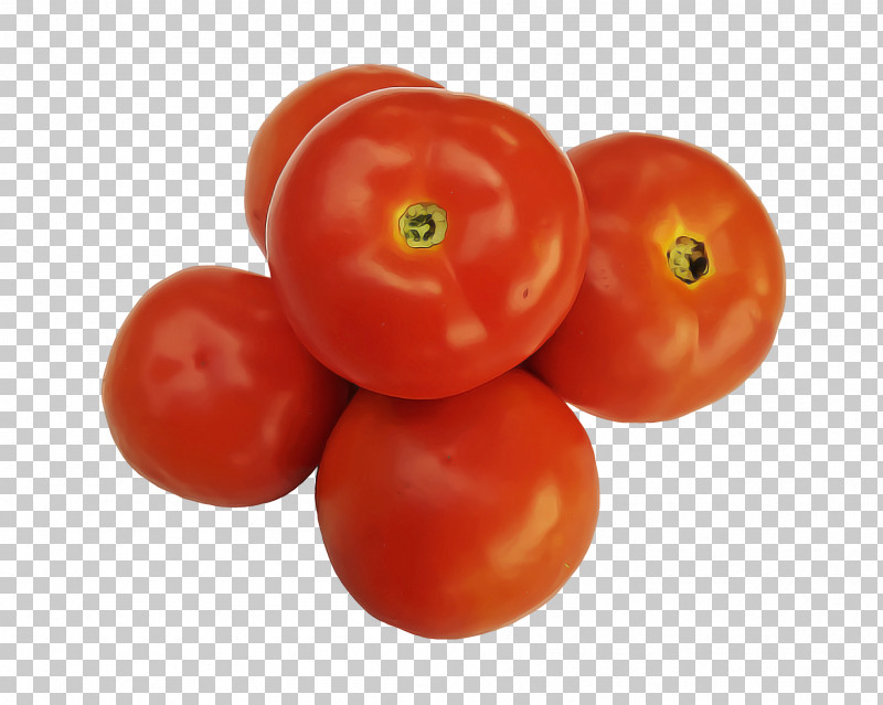 Tomato PNG, Clipart, Fresco, Painting, Plants, Tomato, Tutorial Free PNG Download