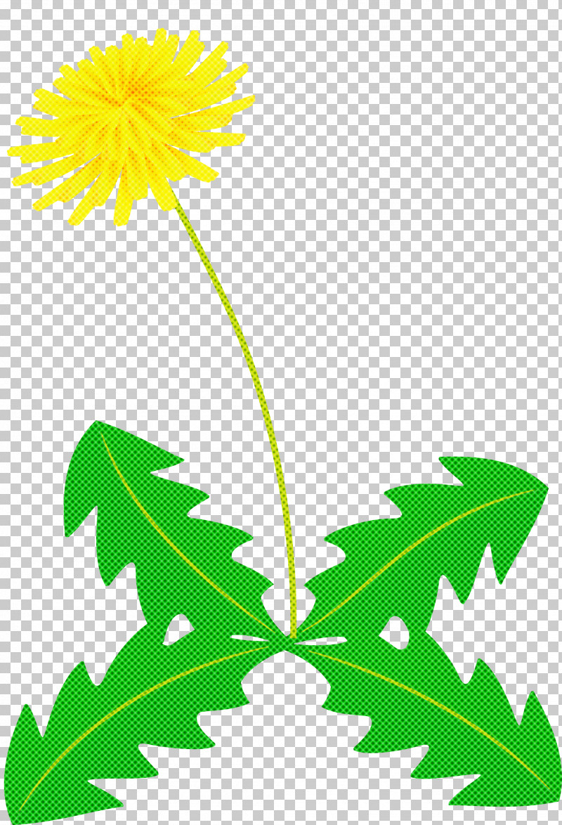 Dandelion Flower PNG, Clipart, Amaryllidaceae, Chamomile, Chrysanthemum, Common Dandelion, Dandelion Free PNG Download