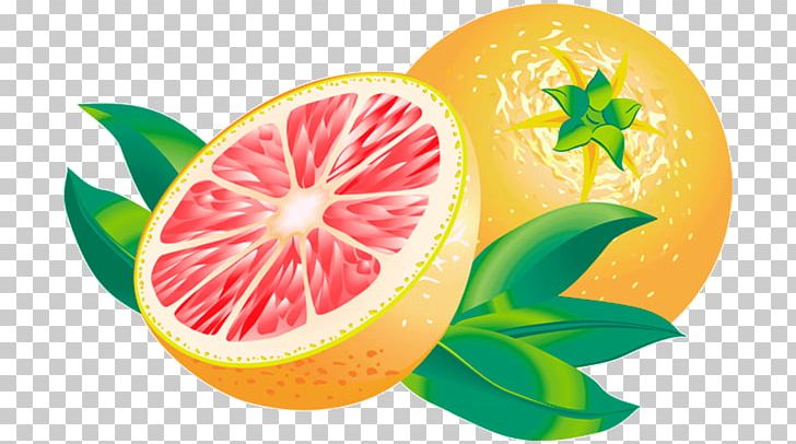 Blood Orange Grapefruit Juice Lemon Tangelo PNG, Clipart, Bitter Orange, Blood Orange, Citric Acid, Citron, Citrus Free PNG Download