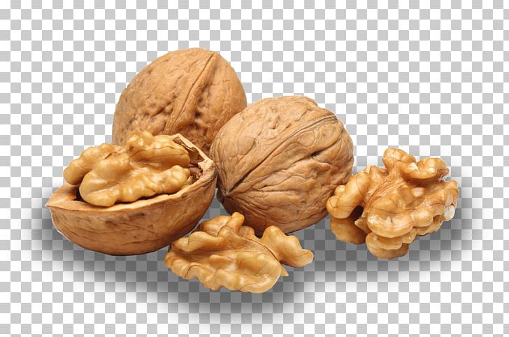Iranian Cuisine English Walnut Eastern Black Walnut PNG, Clipart, Balsamic Vinegar, Biscuits, Commodity, Dried Fruit, Drupe Free PNG Download