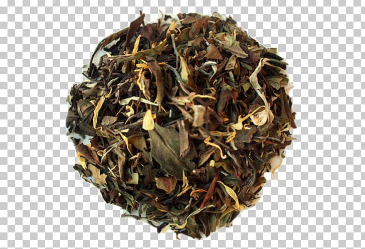 Irish Breakfast Tea Green Tea Oolong English Breakfast Tea PNG, Clipart, Assam Tea, Bai Mudan, Bancha, Black Tea, Camellia Sinensis Free PNG Download