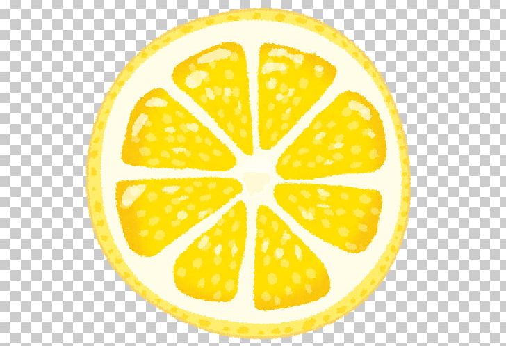 Lemon Nutrient Fruit Food Zuur PNG, Clipart, Circle, Citreae, Citric Acid, Citron, Citrus Free PNG Download
