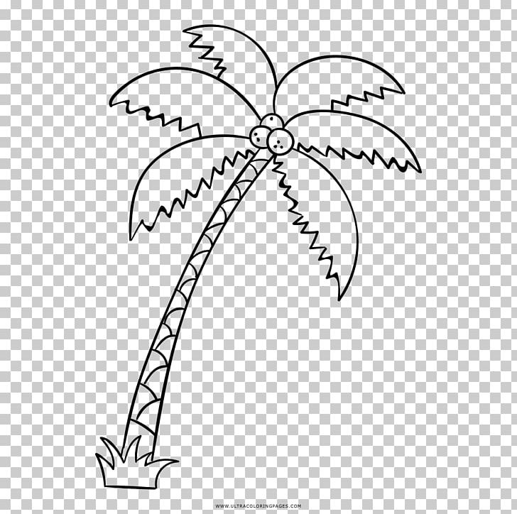 Really Big Coloring Books Drawing Arecaceae PNG, Clipart, Adult, Angle, Area, Arecaceae, Artwork Free PNG Download