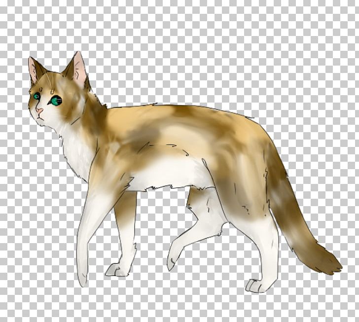 Whiskers Norwegian Lundehund Kitten Domestic Short-haired Cat Red Fox PNG, Clipart, Animals, Breed, Carnivoran, Cat, Cat Like Mammal Free PNG Download