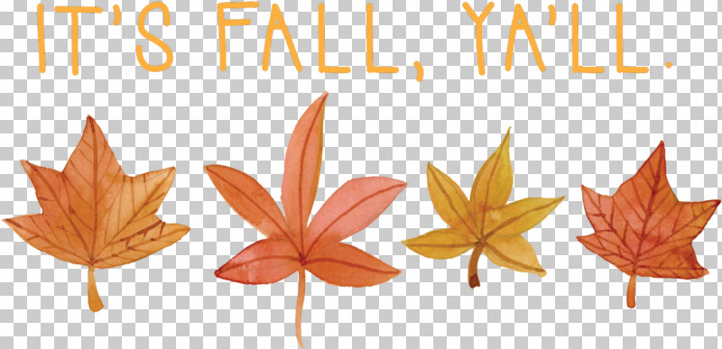 Maple Leaf PNG, Clipart, Flower, Leaf, Maple Leaf, Plane, Plant Free PNG Download