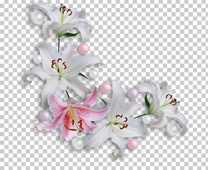 Frames Information Floral Design PNG, Clipart, Blossom, Cut Flowers, Floral Design, Floristry, Flower Free PNG Download
