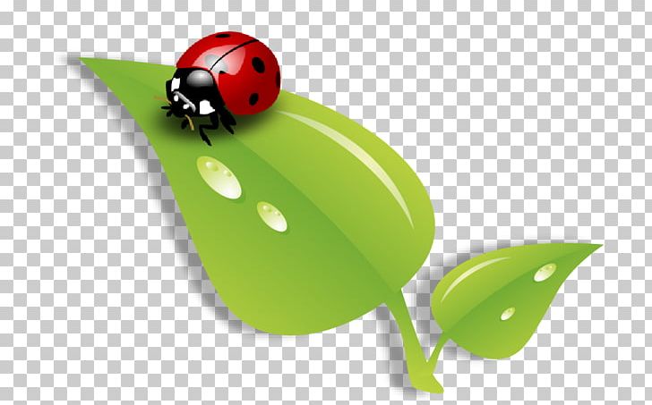 Ladybird Beetle Leaf Portable Network Graphics Streamline Creations LLC PNG, Clipart, Beetle, Child, Email, Grass, Green Free PNG Download
