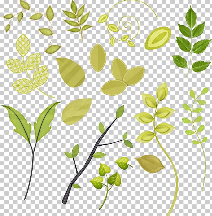 Leaf Plant Stem Floral Design PNG, Clipart, Branch, Flora, Floral Design, Flower, Flowering Plant Free PNG Download