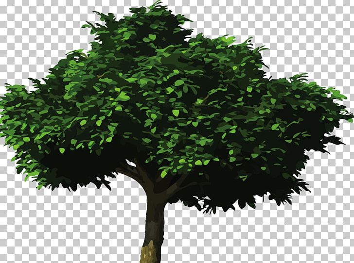 Tree Planting Earth Forest Quotation PNG, Clipart, Atmosphere Of Earth, Bandera, Branch, Carbon Dioxide, Colores Free PNG Download