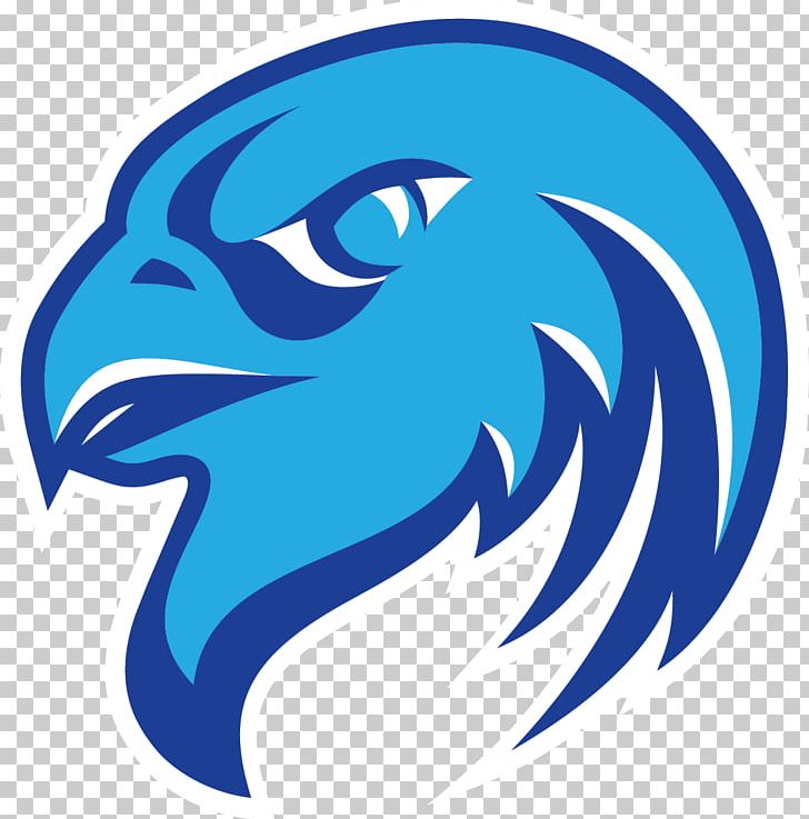 Atlanta Falcons Logo PNG, Clipart, Animals, Atlanta Falcons, Beak, Circle, Dolphin Free PNG Download