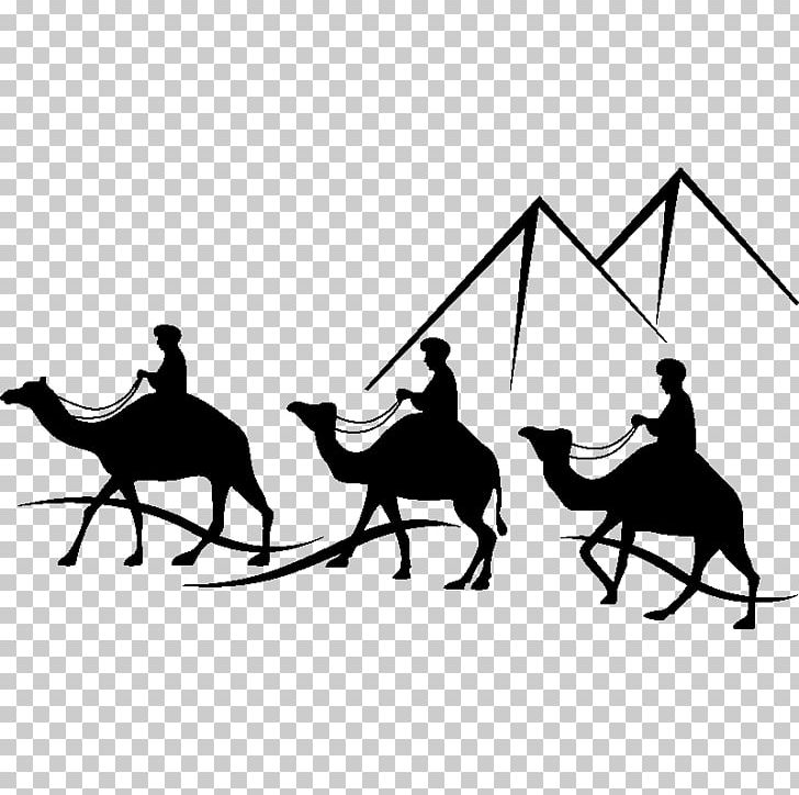 Horse Bactrian Camel Camel Train PNG, Clipart, Animals, Bactrian Camel, Bedouin, Black And White, Camel Free PNG Download