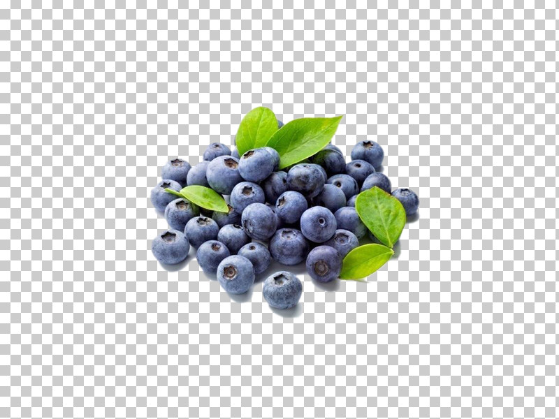 Berry Bilberry Fruit Food Blueberry PNG, Clipart, Berry, Bilberry, Blue, Blueberry, Chokeberry Free PNG Download